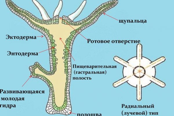 Какая комиссия кракен маркетплейс